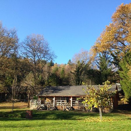 Au Bois De Calais Villa Corrèze Exteriör bild